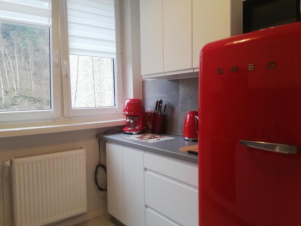 Apartament Stella Duszniki Zdrój Dış mekan fotoğraf