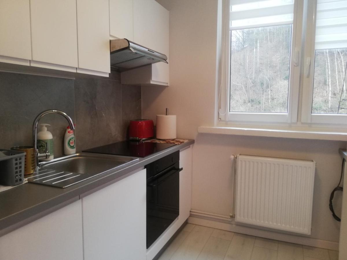 Apartament Stella Duszniki Zdrój Dış mekan fotoğraf
